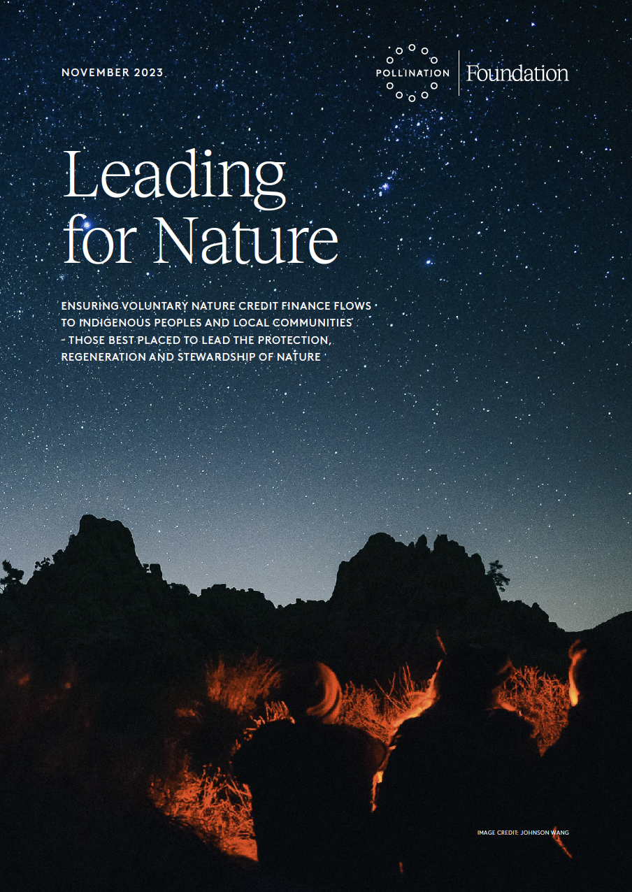 Learn about flowing nature credit finance to IP&LCs in our Leading for Nature report.