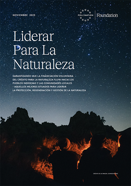En nuestro último informe se explica cómo garantizar la financiación voluntaria de los créditos de la naturaleza para los pueblos indígenas y las comunidades locales.